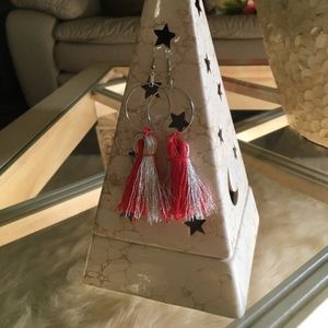 Tassel Hoop Earrings